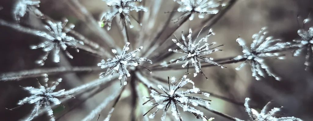 residential snow removal