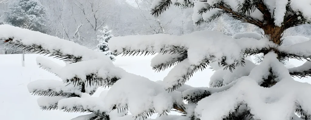 residential snow removal