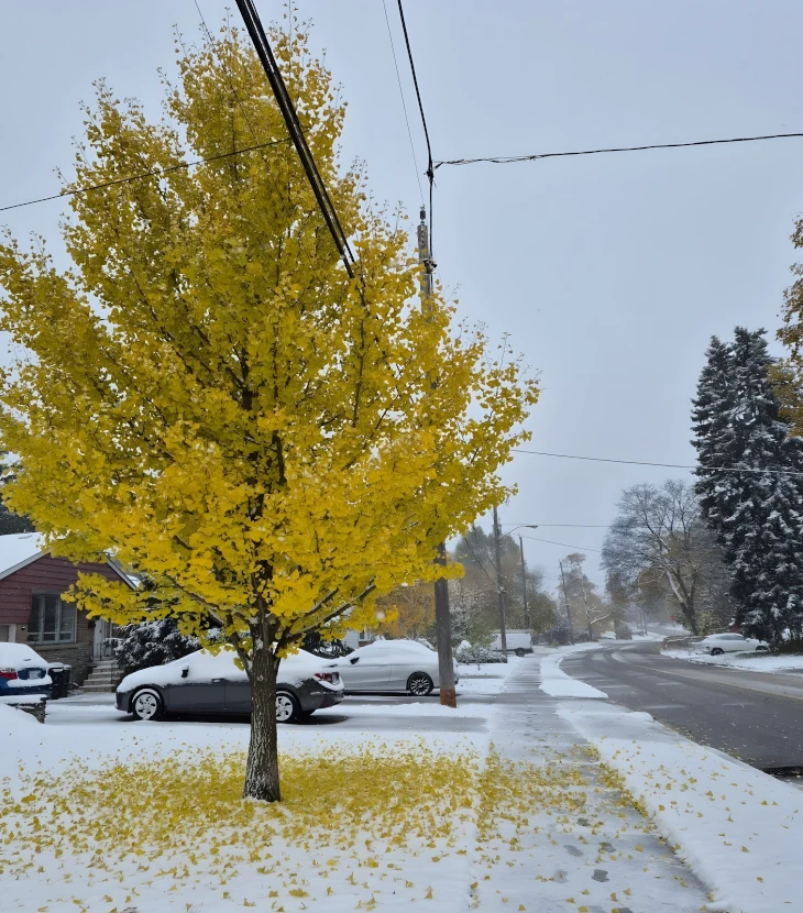 residential snow removal
