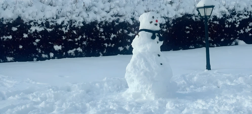 residential snow removal