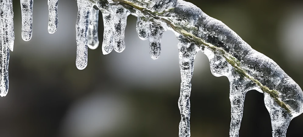 residential snow removal