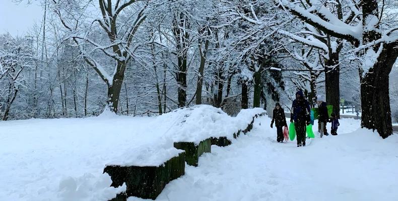 residential snow removal